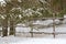 Winter forest landscape with timber fence. Dark silhouettes of snow-covered bare trees in a winter forest on a cloudy day