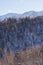 Winter forest landscape view from Mount Kurodake.