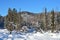 Winter, forest of the mountainous Altai