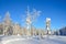 Winter, forest of the mountainous Altai