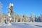 Winter, forest of the mountainous Altai