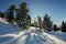 Winter forest in the mountains, a trail among white snow drifts