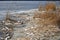 Winter forest nature and overgrown snowy shores of a full-wave river