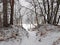 Winter forest nature and overgrown snowy shores of a full-wave river