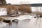 Winter forest nature and overgrown snowy shores of a full-wave river