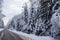 Winter forest panorama motor road