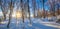 Winter forest panoramic  landscape, untouched snow. Early sunny morning. Long blue shadows on sparkling snow