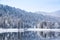 Winter forest river landscape. Snow covered trees and river with reflections against mountain. Altai Republic, Russia