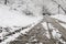 Winter forest and road in the snow with traces of tires