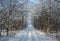 Winter forest and road after a snowfall on Christmas in the dead