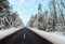 Winter forest and road weather snow