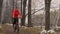 The winter forest in Russia. The young beautiful woman walks with a golden retriever. The gold retriever walks in the