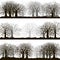 Winter forest silhouettes lanscapes