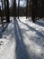 Winter forest and skier in the distance