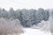 The winter forest sleeps in snow-covered furry hats. Trees in the snow and haze. Winter forest frost fog. Trunks of trees with