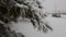 Winter forest snow covered road trees in snow.