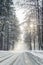 Winter in the Forest with Snow Dust on the Roads in Russia, Siberia