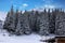 Winter forest snow landscape, Slovakia