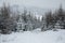 Winter forest in snow. Mountain landscape with a footpath. Sunny day and frosty weather