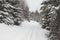 Winter forest in snow. Mountain landscape with a footpath. Sunny day and frosty weather