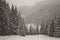 Winter forest in snow. Mountain landscape with a footpath. Sunny day and frosty weather