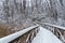 Winter Forest Snow Scene With Deep Virgin Snow And Wooden Path Walkway