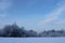 Winter forest after a snowfall on Christmas in the dead of winter in January.