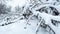 winter forest snowfall. heavy snow in the winter forest tree branches covered with snow. dry branch in the snow