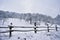 Winter in forest. snowy trees in cold season