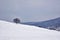 Winter in forest. snowy trees in cold season