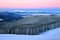 Winter forest of spruce trees poured with snow.