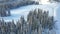 Winter forest on a Sunny day. Snow-covered firs. Light snowfall. Beautiful view from above