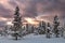 Winter forest at sunrise with fresh snow