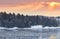 Winter forest in Sweden. nature on the shore of the fjord