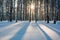 The winter forest under snow. The wood in Siberia in the winter. The wood in Russia in the winter.