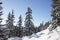 Winter forest. Ural landscape