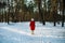 Winter forest walk woman hiking in snow with tall boots walking outdoors amongst trees.