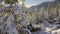 Winter forest, Winter in the mountains, sunrise in winter snowy forest. Camera moves along the snow-covered firs in the