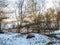 Winter Forrest Sceen with labrador Dog & Bridge