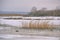 Winter freezing sea with ice floes. A small island with dark gloomy forest in the distance. Northern cloudy day, tranquility of