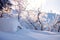 Winter frosty morning landscape, pure snow, background in blue tones