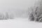 Winter at the frozen lake in the forest, the snowstorm makes the forest almost unvisible