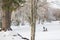 Winter frozen lake in the forest. USA. Maine. Family engaged in ice-cold winter fishing in the background. Traditional winter hobb