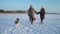 Winter fun , snow, sledding with dog at winter time