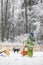 Winter fun - toddler in snow suit playing in snow