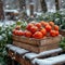 Winter garden harvest Abundant crops and joyous gardening moments captured