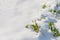 Winter  garden landscape with snowdrifts. Backyard snow background white