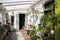 Winter garden with lots of plants. Space in the house for relaxation with flowers. Gardening, veranda in rustic