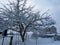 Winter garden at their summer cottage.