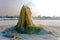 Winter geyser on sludge fields